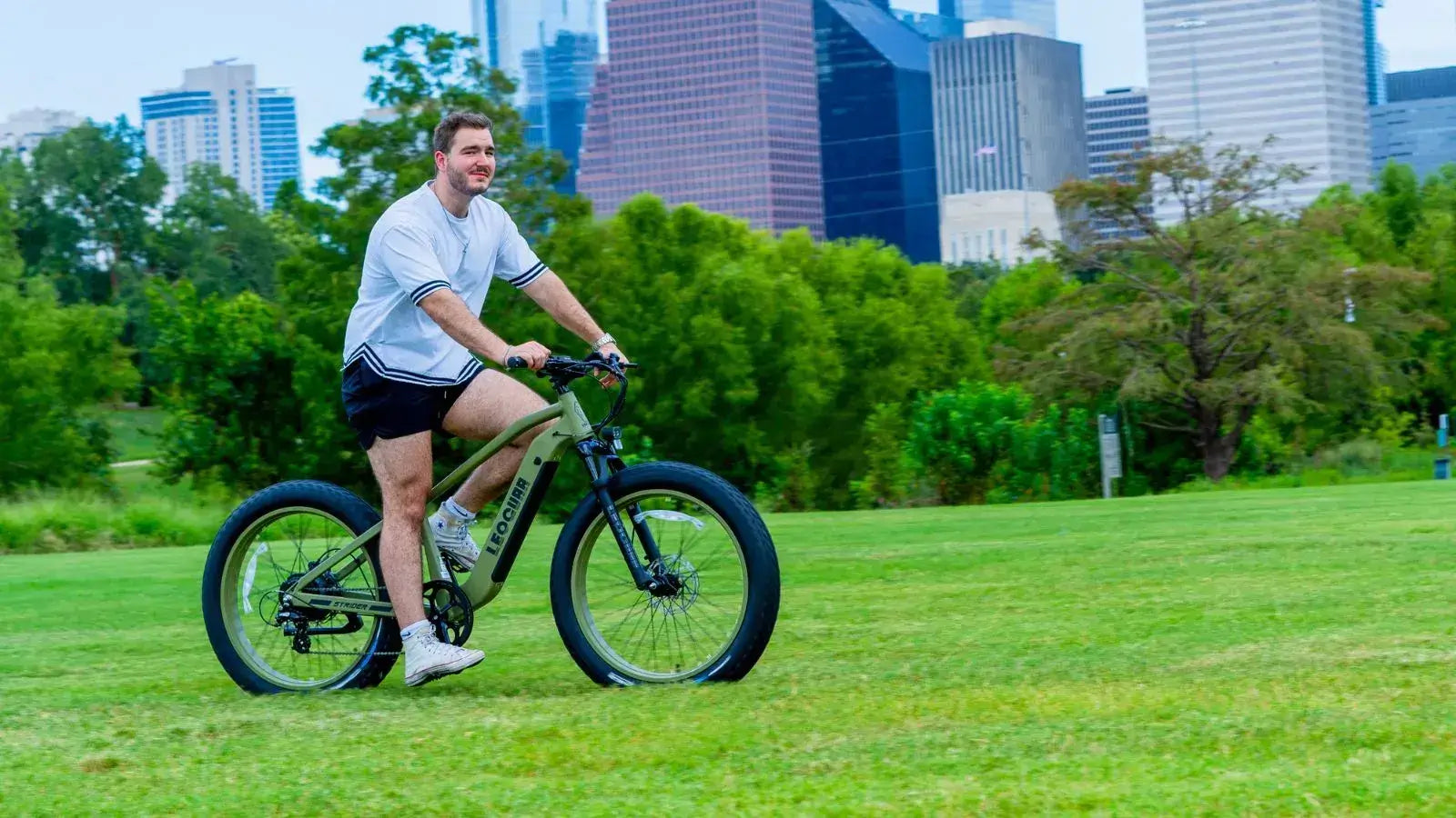 750W Fat Tire Electric Bike