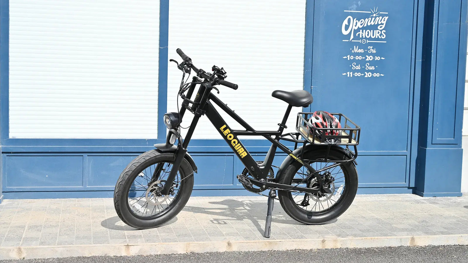 Full E-Bike