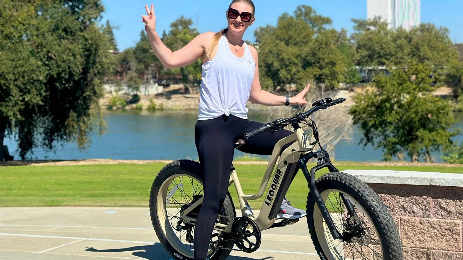 Fastron ST Ebike