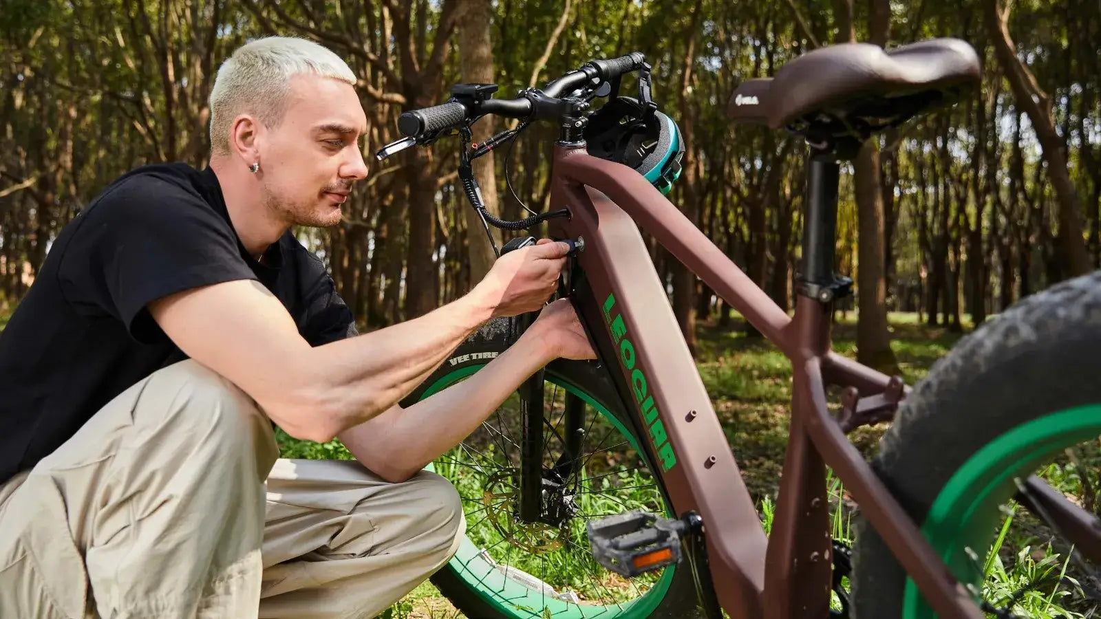 Ebike With A Robust Battery