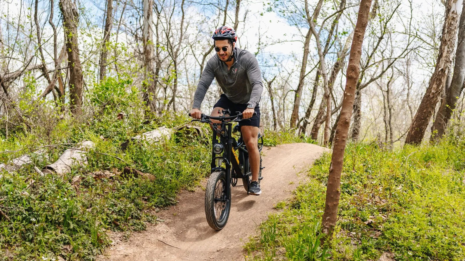 Sprint Fat Tire Utility Ebike