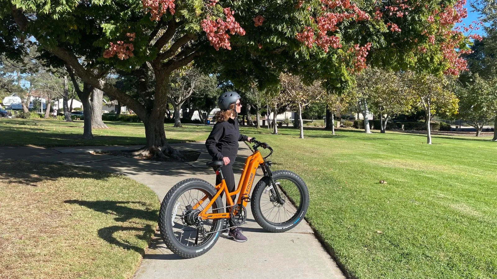 ebike with a smart torque sensor