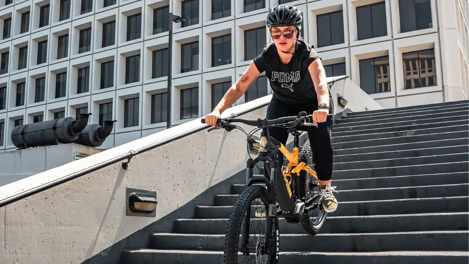 Trailblazer Mid-drive Motor EMTB