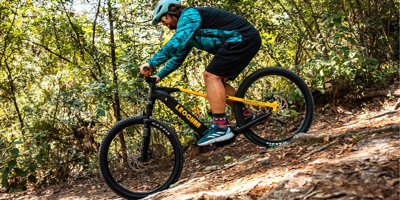 Trailblazer Mid-drive Motor EMTB