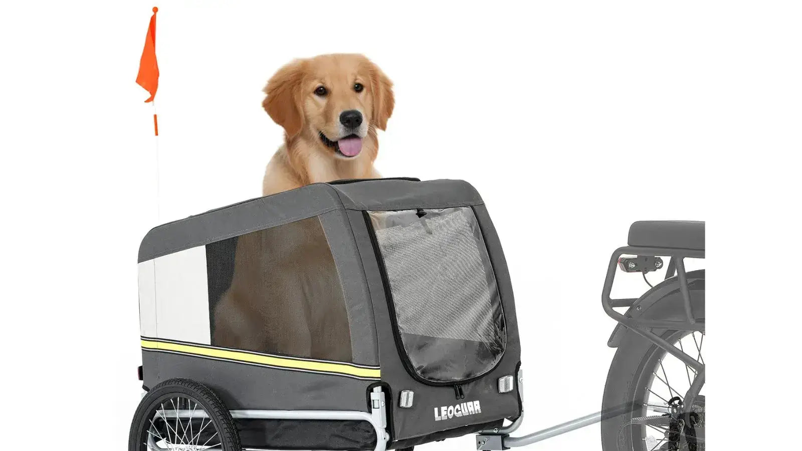 Dog Bicycle Trailer: Best Options for Your Pup's Safety