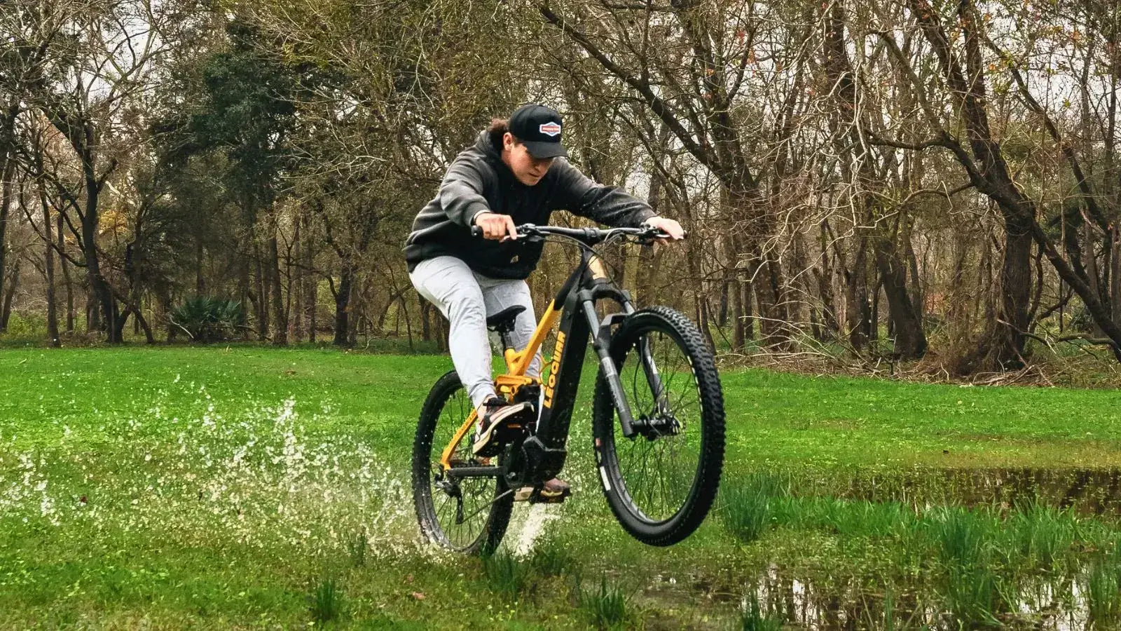 adventure electric bike
