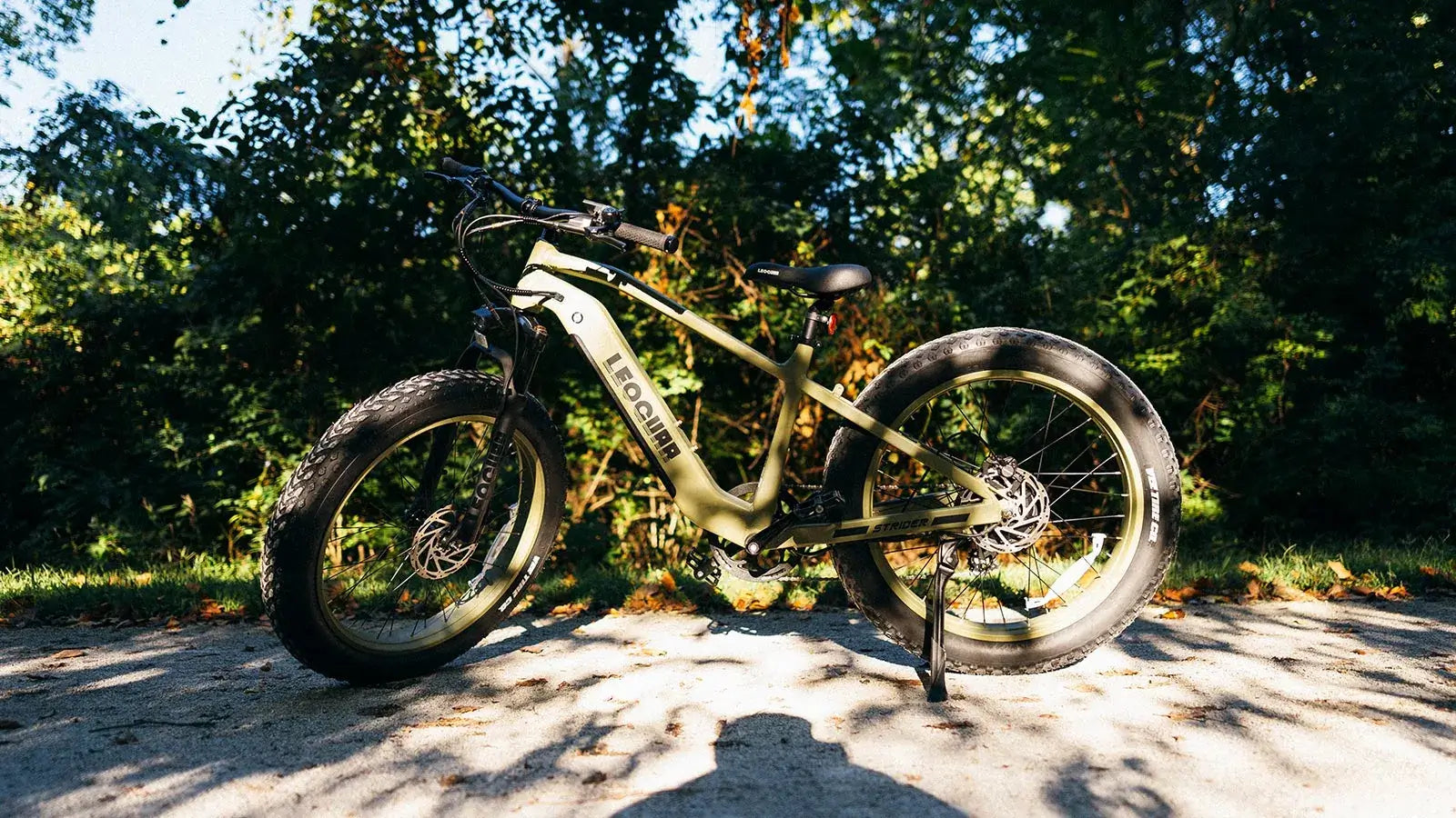 Fat Tire Electric Bike