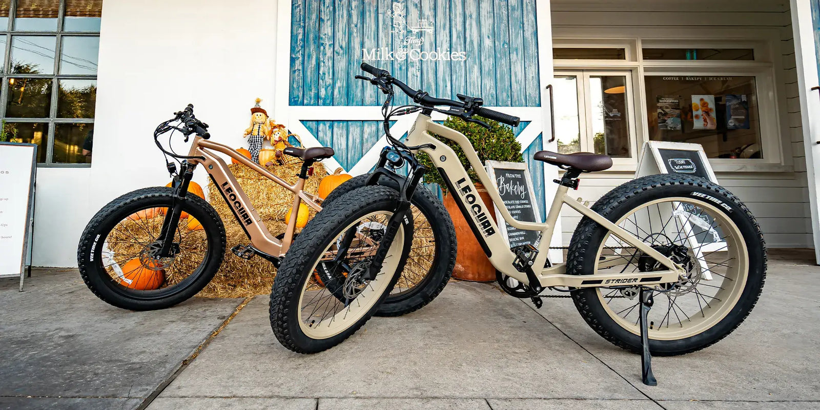 two Fat E-Bikes