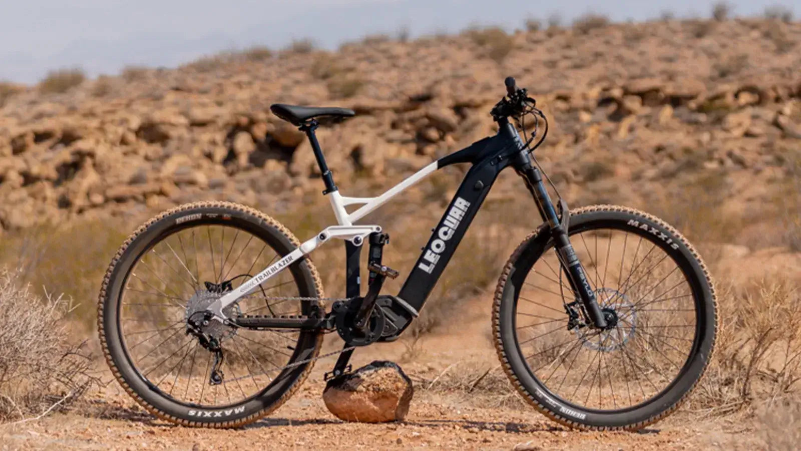 Class 3 Electric Bicycle