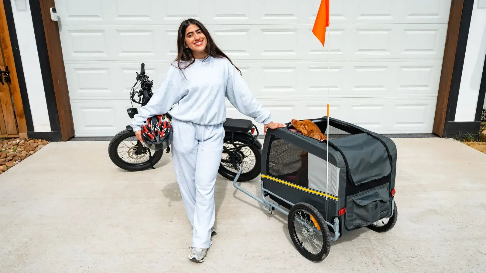 Pet Bike Trailer