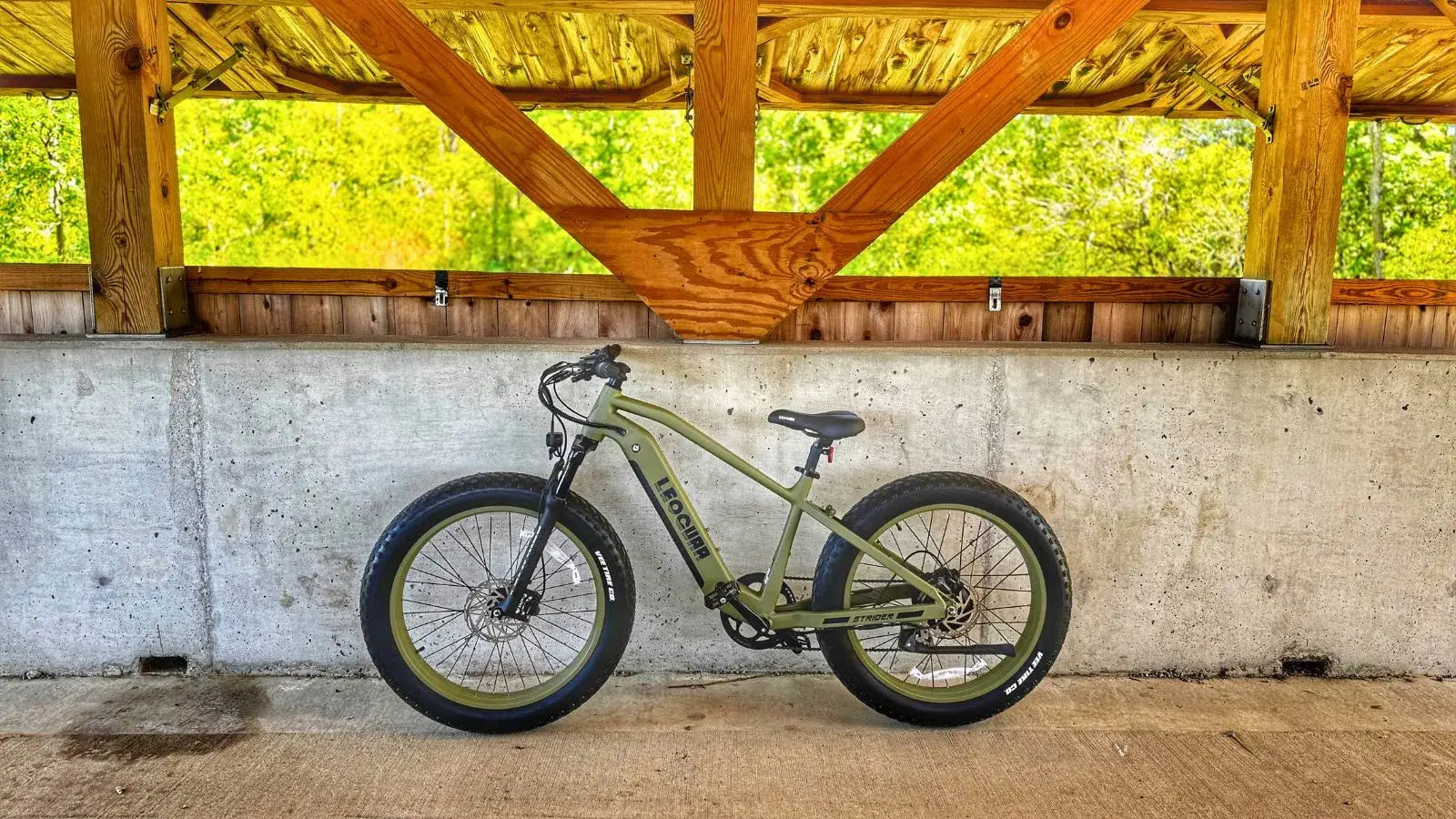 electric bike with big wheels
