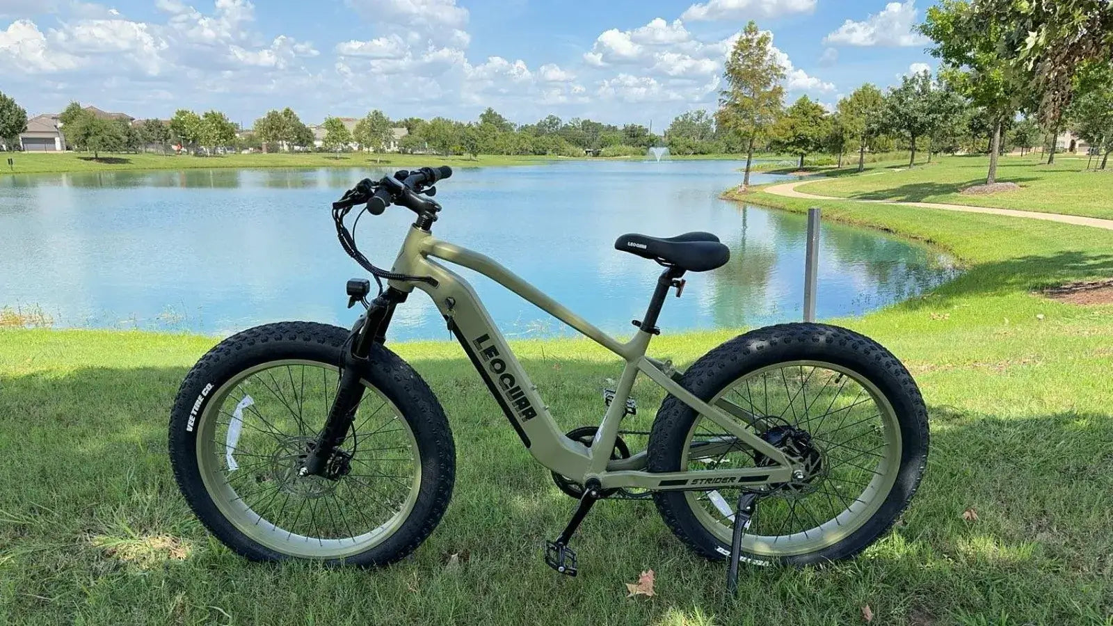 Fastron Canbus System Ebike