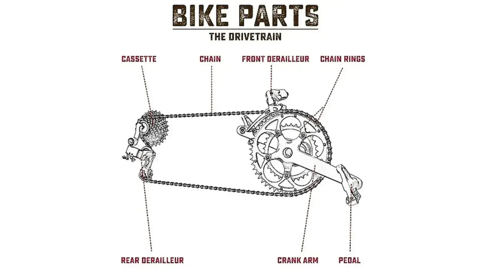 Labeled diagram of a bicycle drivetrain showing key components like cassette, chain, derailleur, crank arm, and chainrings