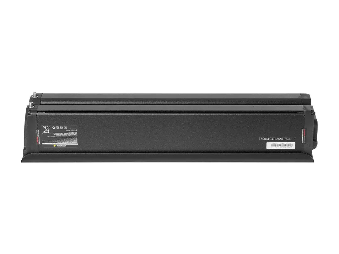Leoguar e bike battery
