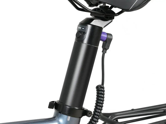 Leoguar 48v ebike battery