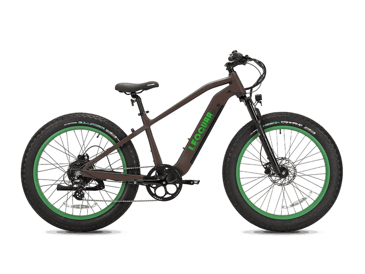 e bike with fat tires