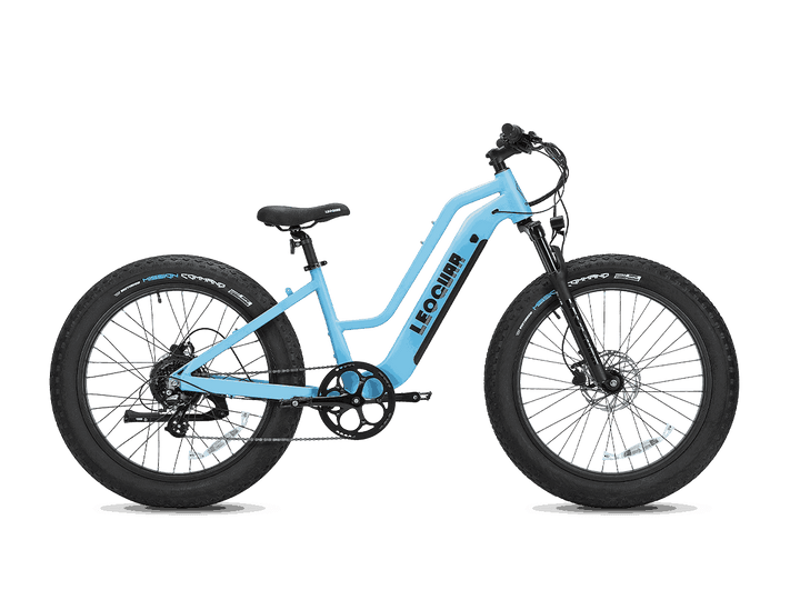 fat tire electric bike