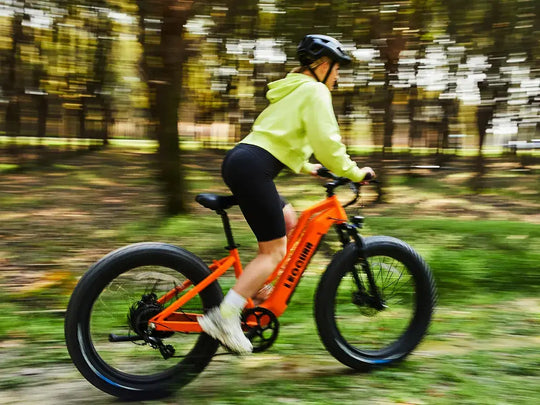 electric mountain bikes for sale