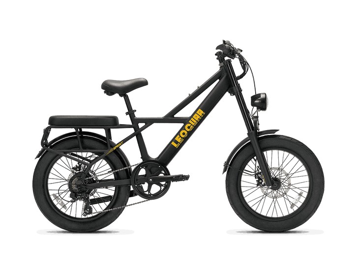 Sprint Fat Tire Utility Ebike