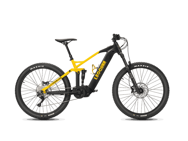 off road ebike