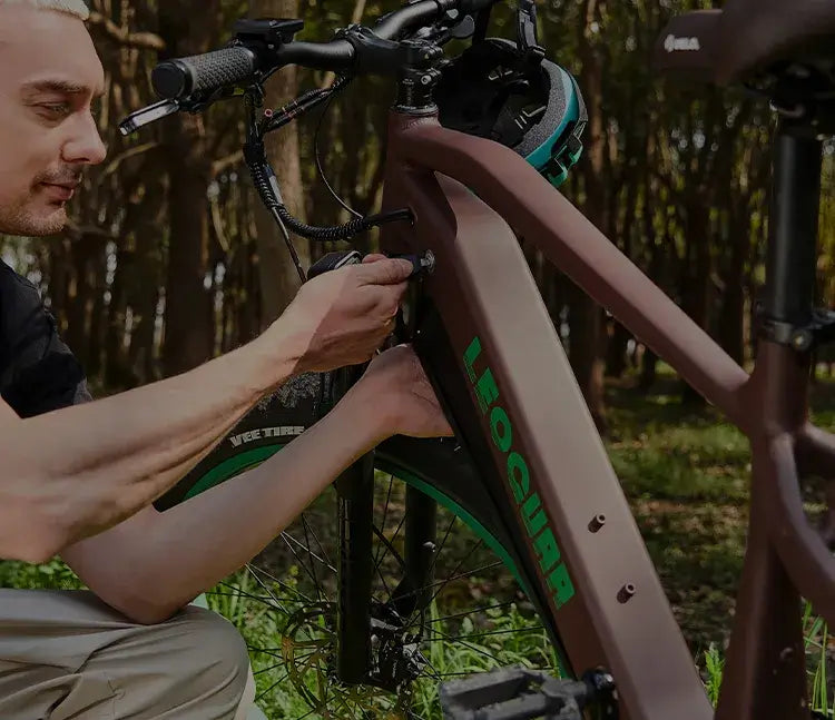 ebike battery