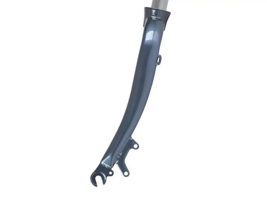 ebike front forks