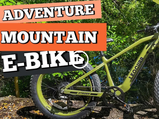 Leoguar electric bike KOL review