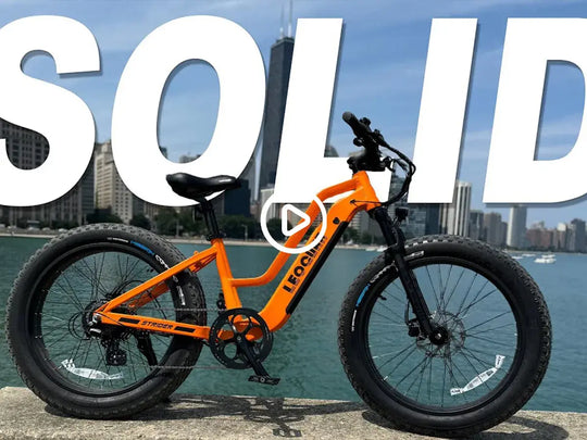 fat tire electric mountain bike