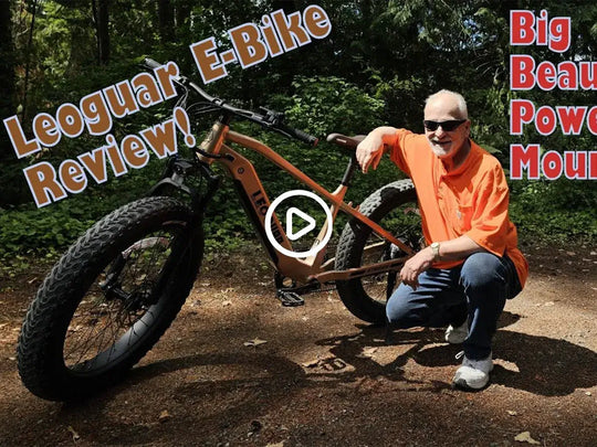 Leoguar electric bike KOL review