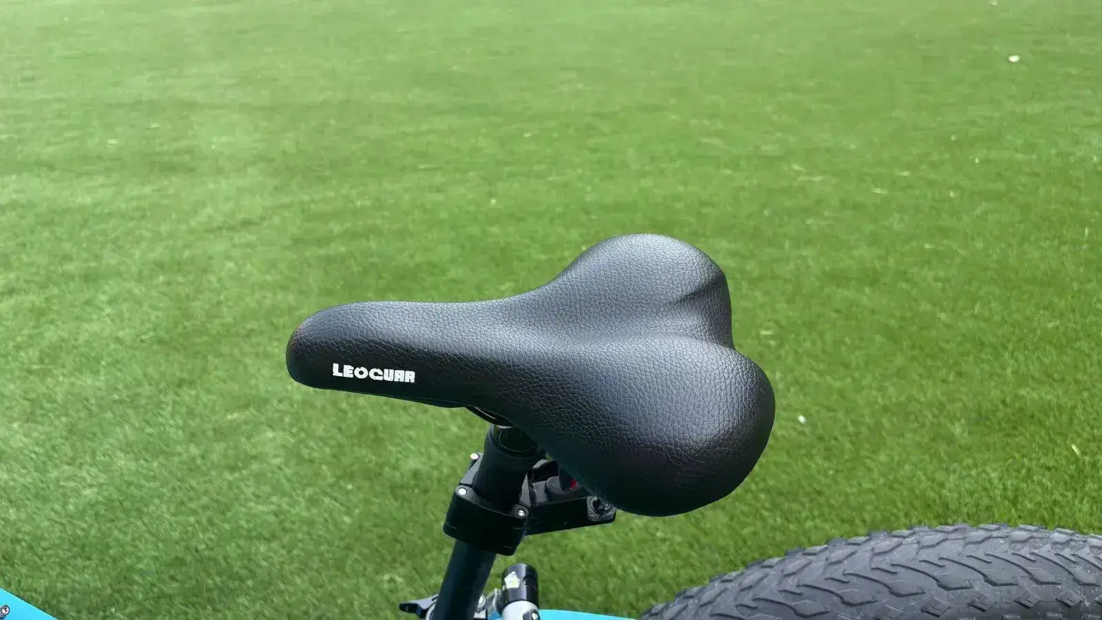 Leoguar Ebikes