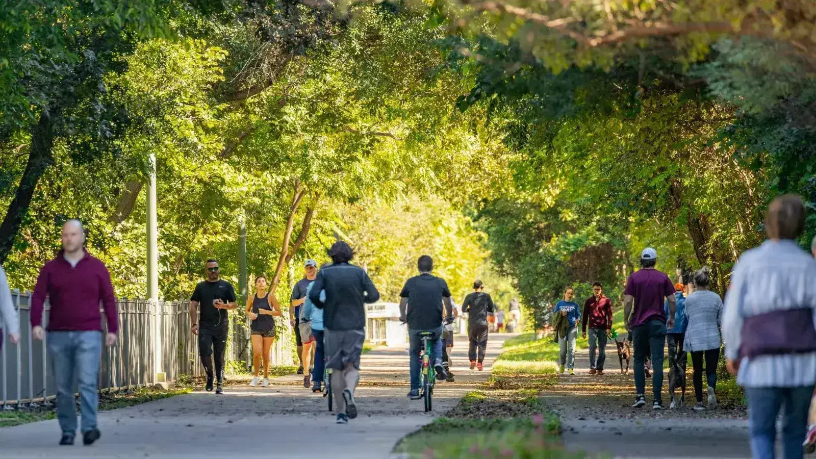 rider on green electric bike commuting through city park