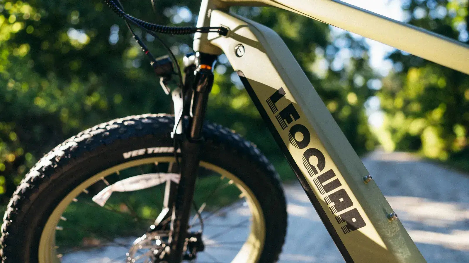 ebike front wheel conversion 