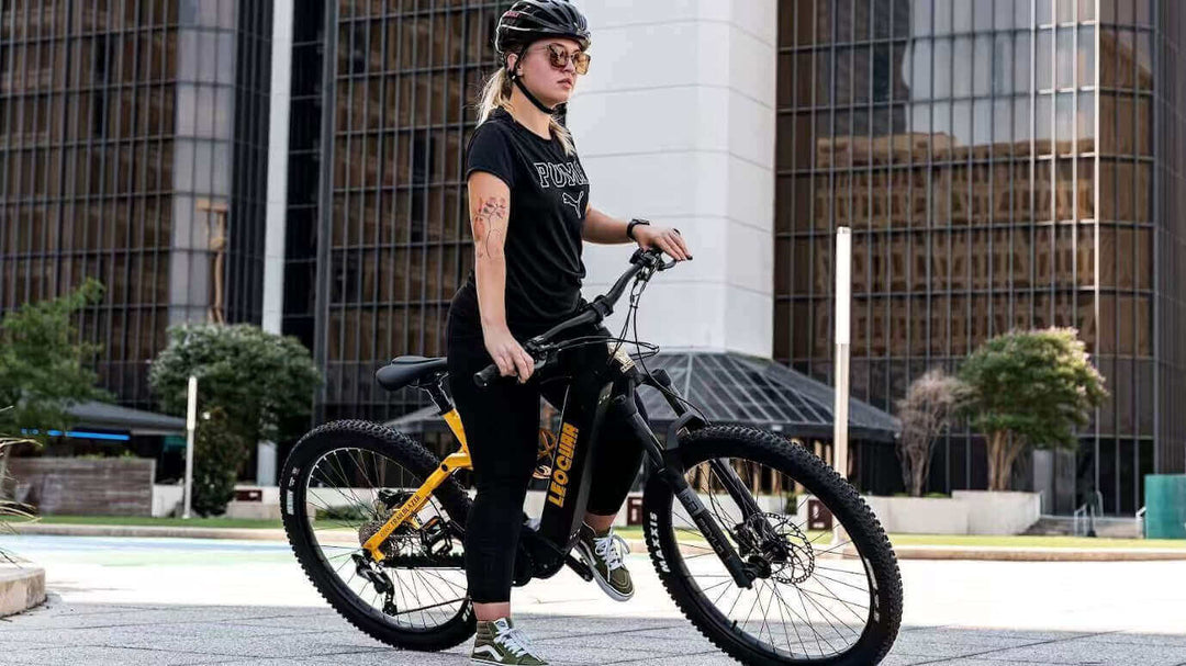 Electric Bike Cost: What Determines eBike Prices?