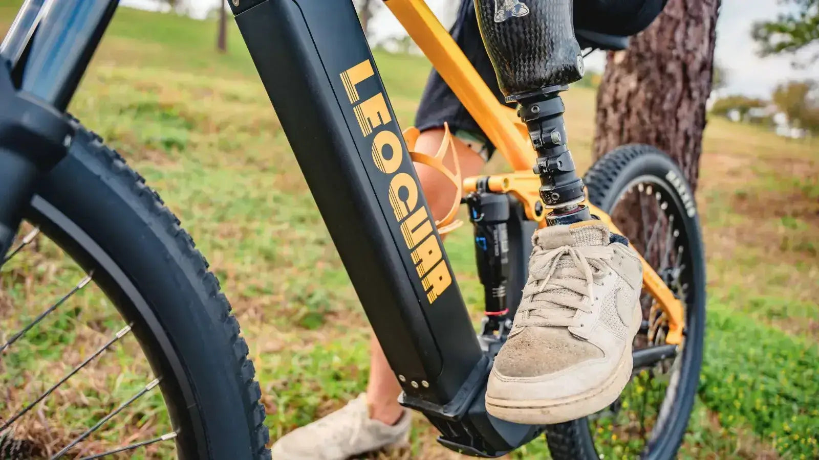 Leoguar Ebikes