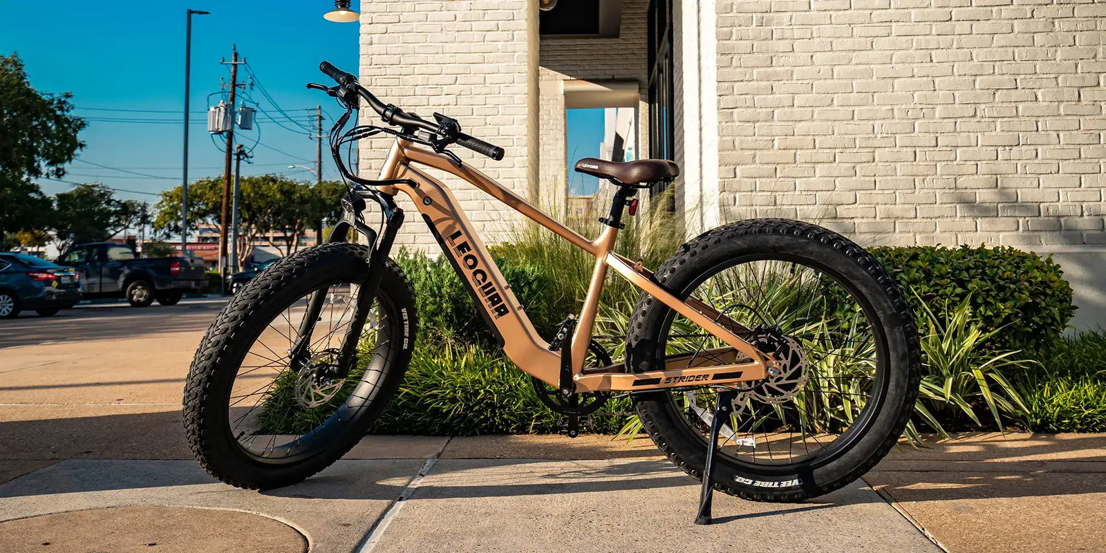 E-Bike Batteries Explained: Types, Voltage, and Which One You Need