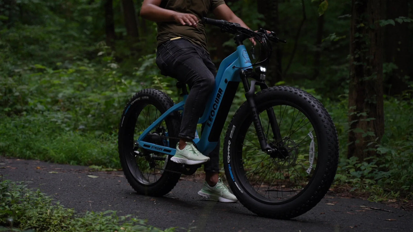 Class Electric Bike