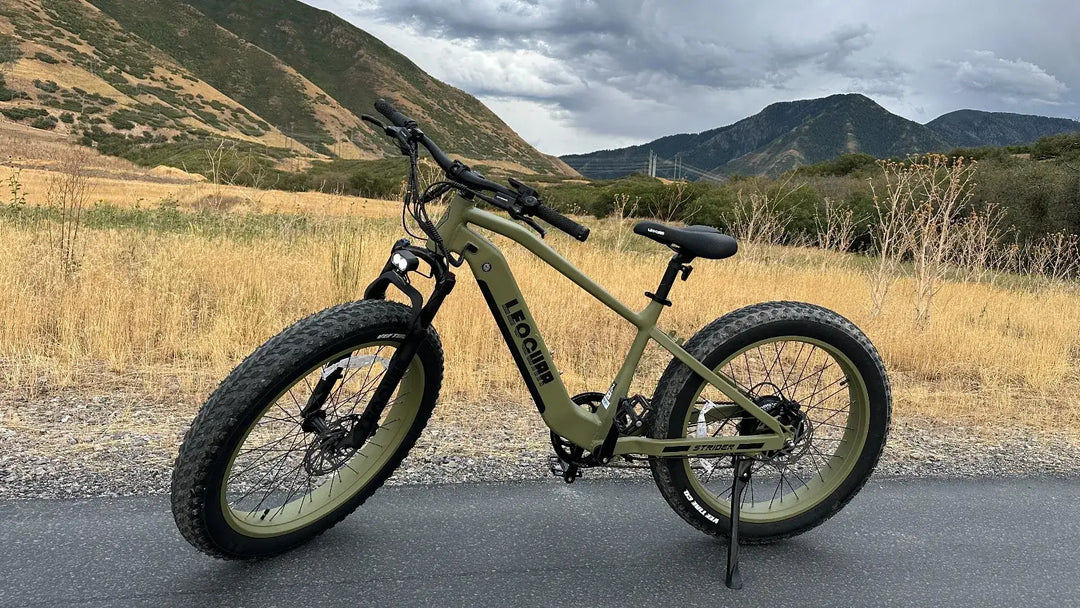 All Terrain Ebike Guide: What Makes a True All-Terrain Fat Tire Ebike?