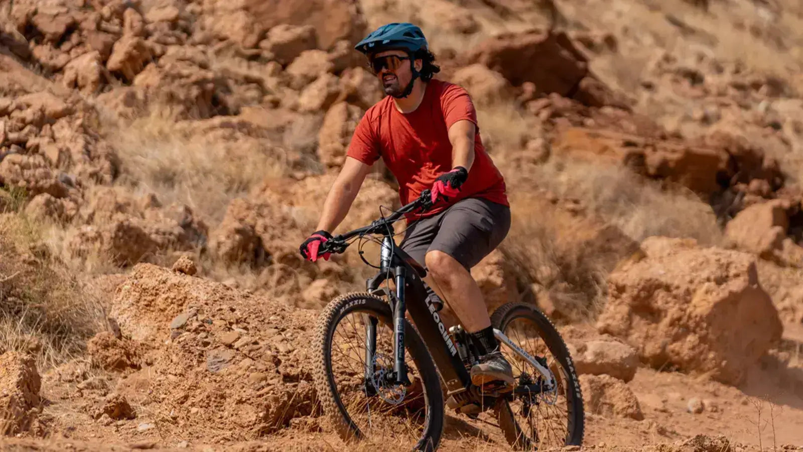 Leoguar Ebikes