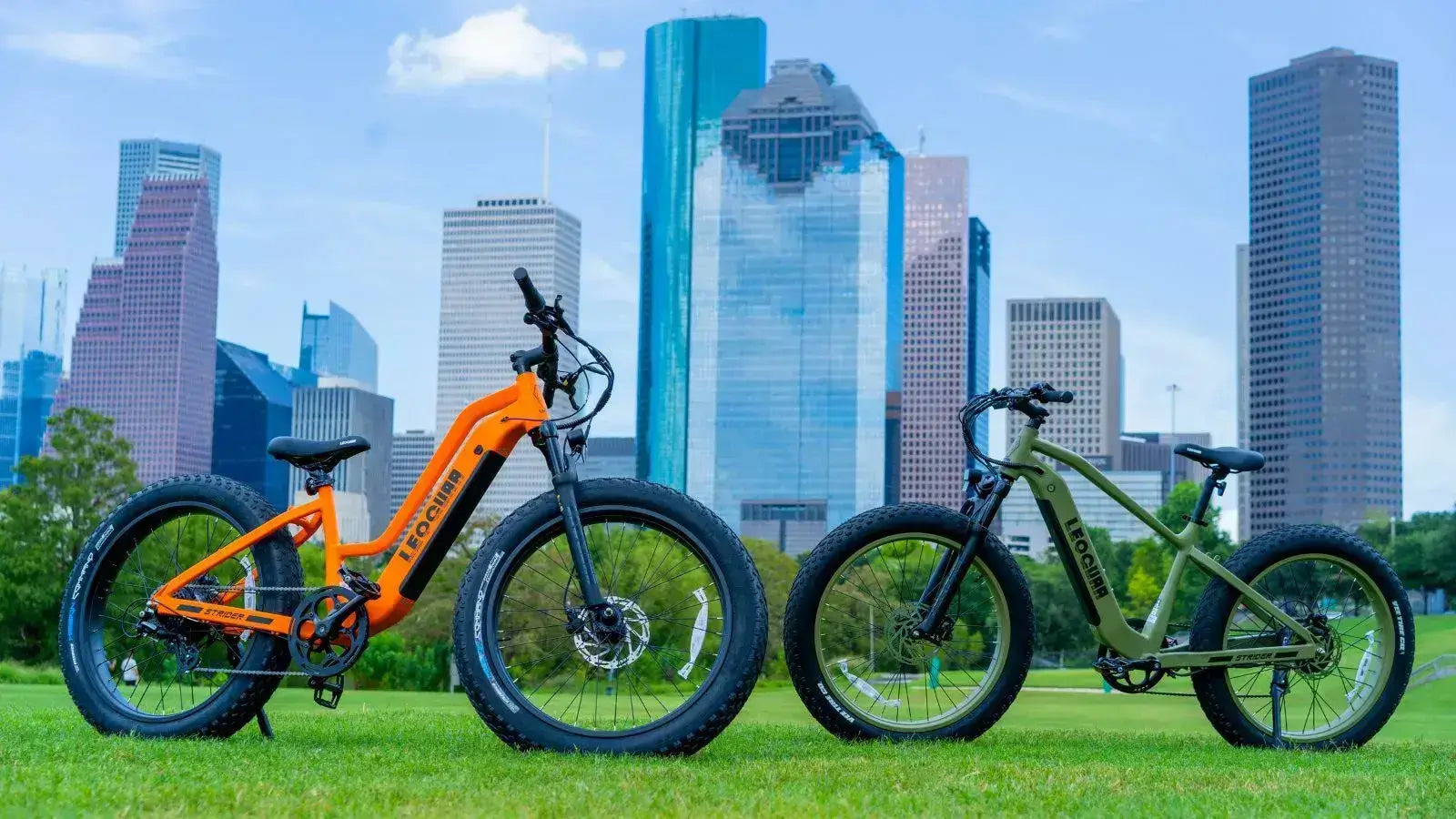 Leoguar Ebikes