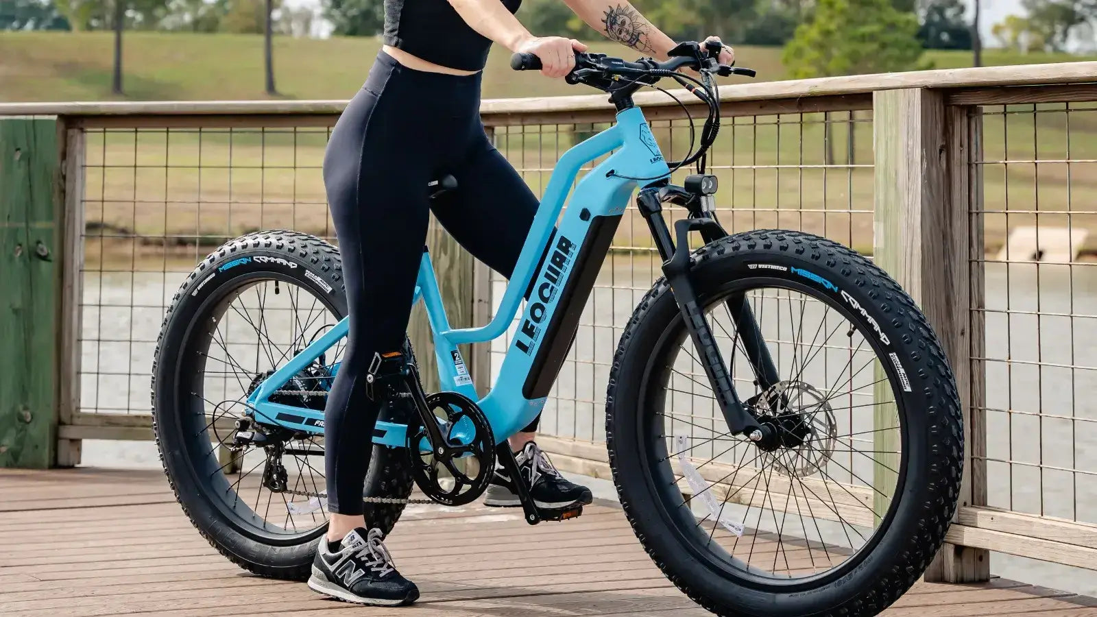 Step Through Fat Tire Electric Bike