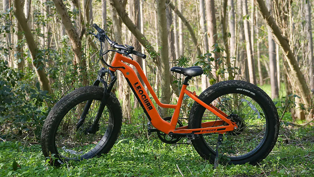 26x4 Fat Tire Bike: Do You Really Need Them on E-Bikes?