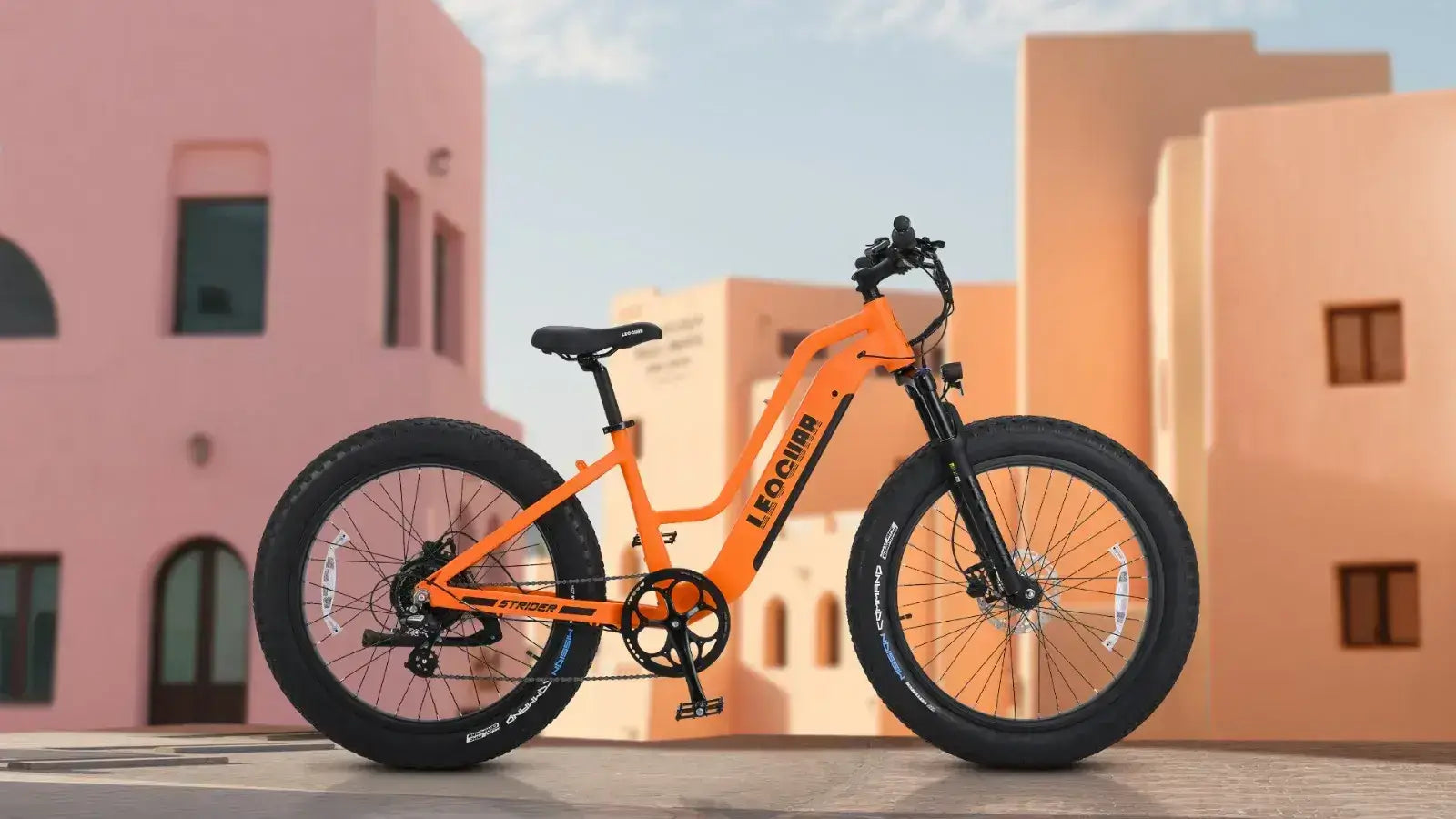 Class 2 Ebike