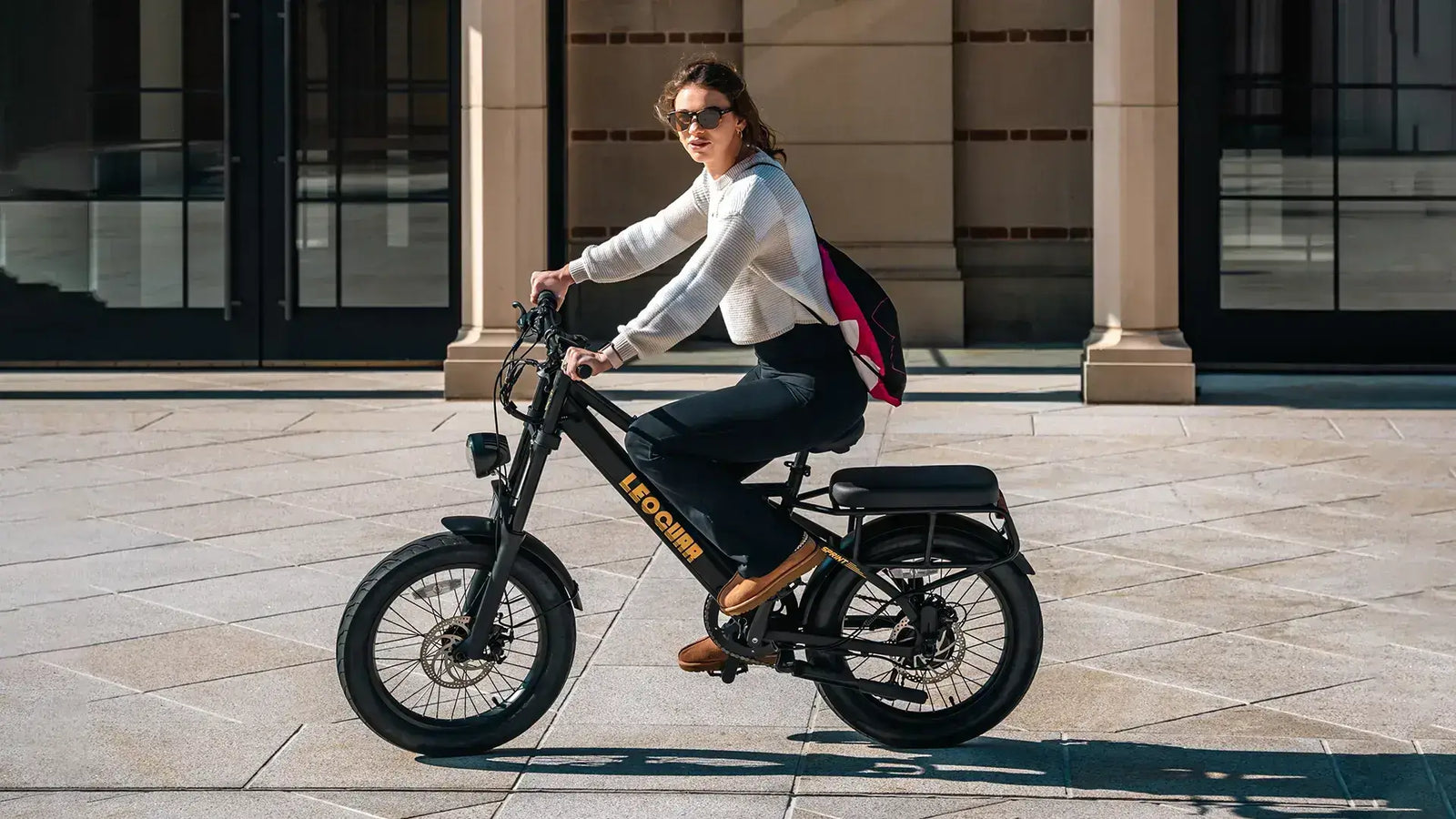 Electric Fat Tire Bike