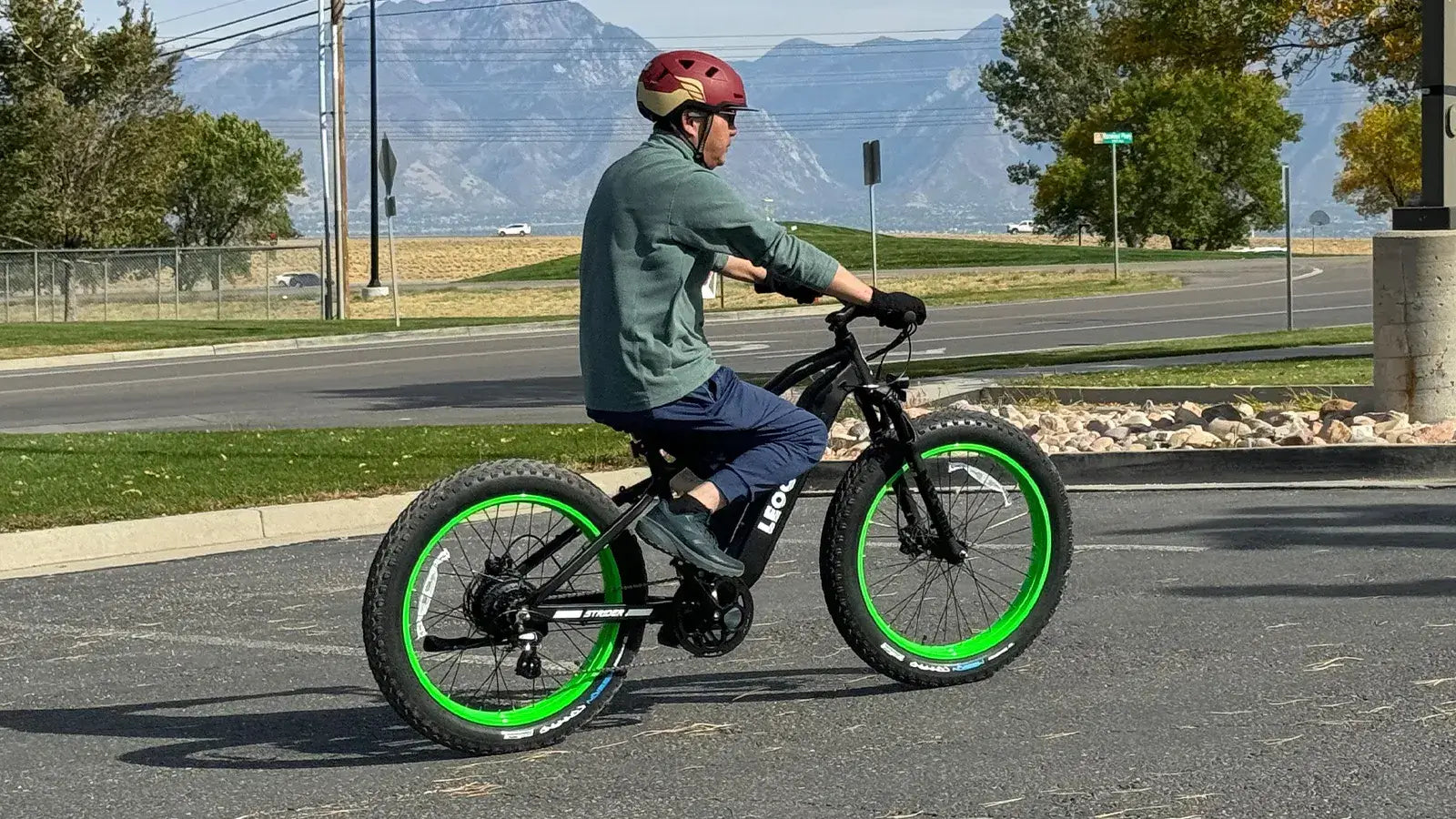 Leoguar Ebikes