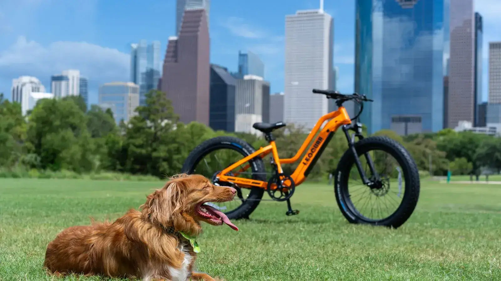 Leoguar Ebikes