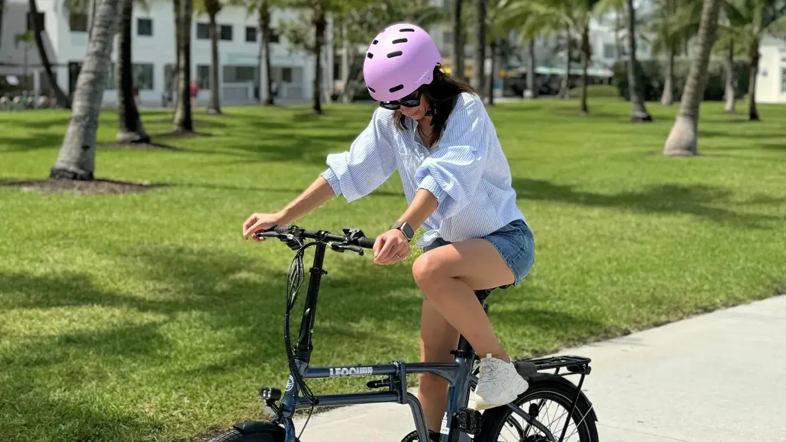 Folding Electric Bike Seat Locks