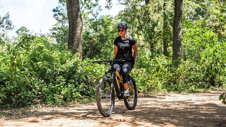 Fast E Bicycle 2025: Best High-Speed Electric Bikes You Can Buy