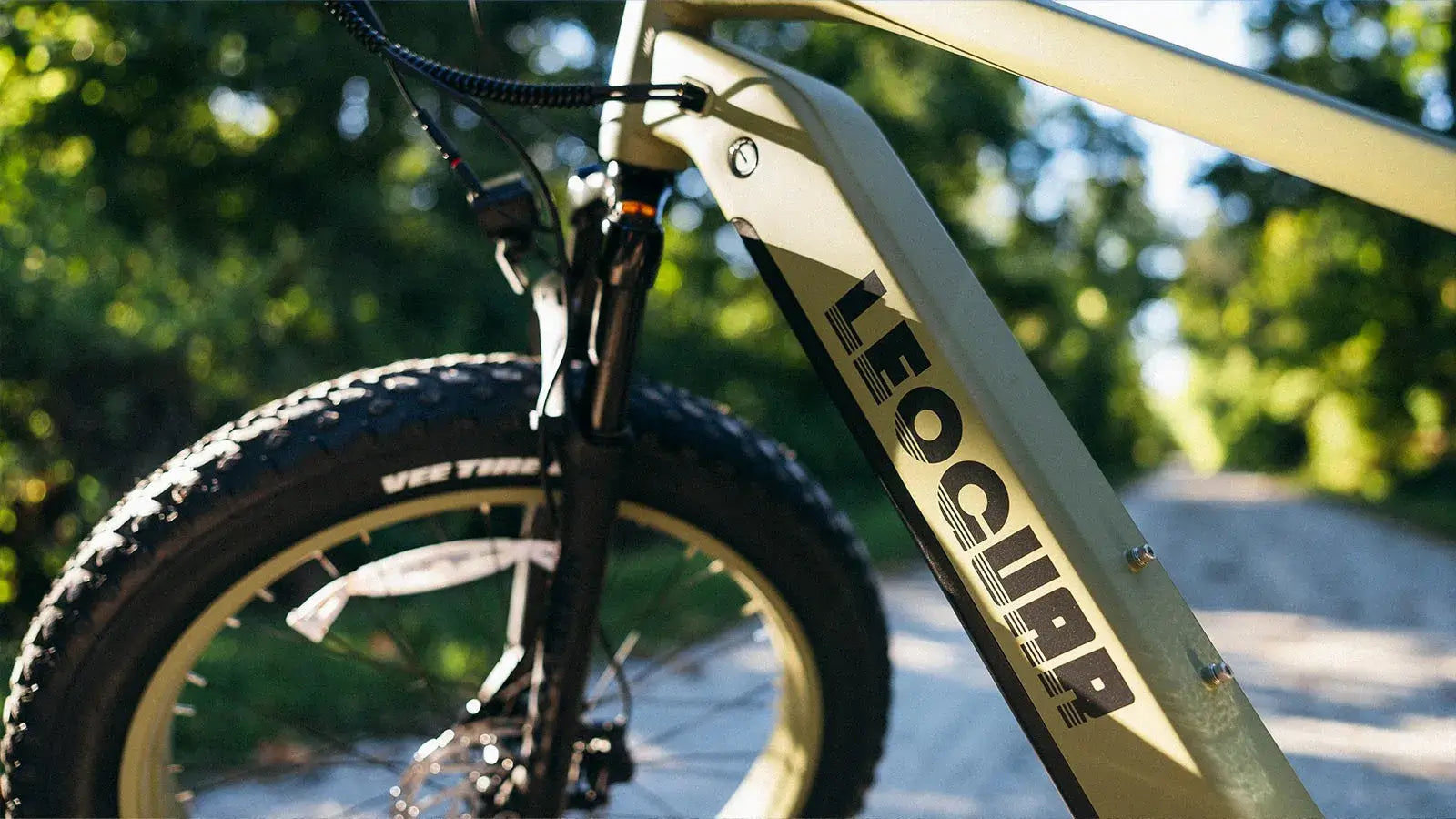 E-Bike Battery