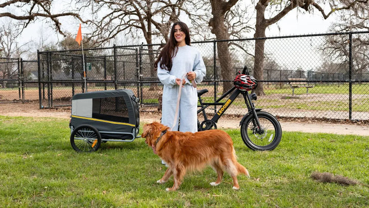 The Ultimate Guide: How to Pick the Right eBike Trailer for Your Cargo Needs