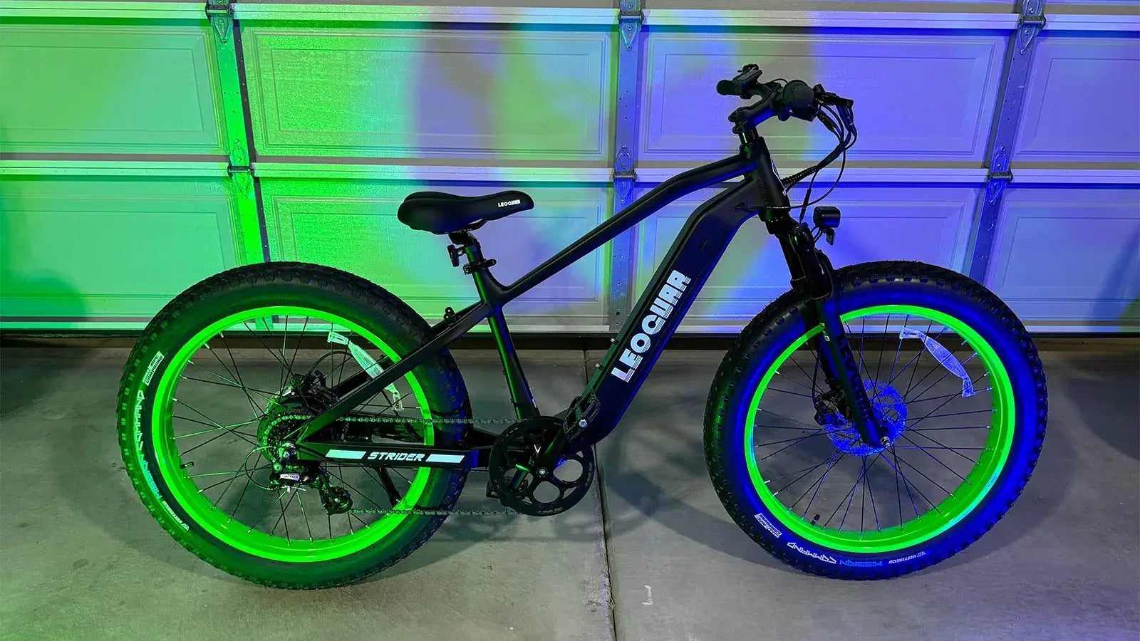 Fat tire ebike